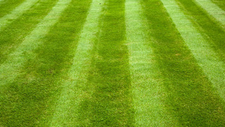 Garden lawn maintenance/gardencare2000/Stoke on Trent